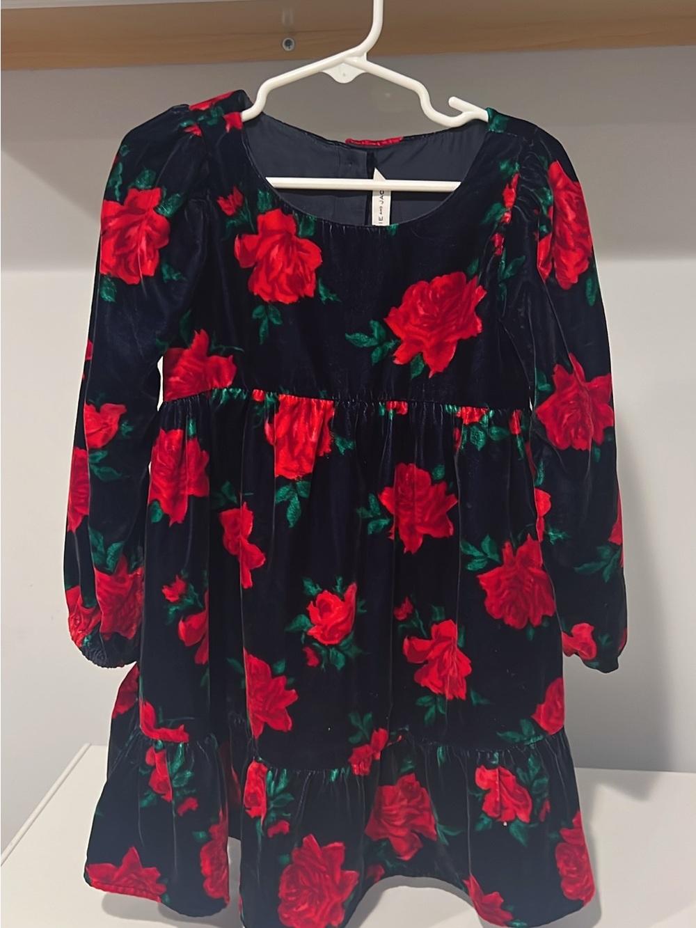 Janie and Jack Navy Velvet Dress with Red Rose Print